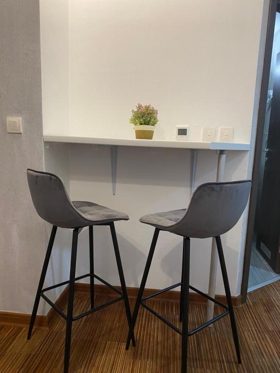 a desk with two chairs and a table with a plant at Castello apartman Kopaonik in Kopaonik