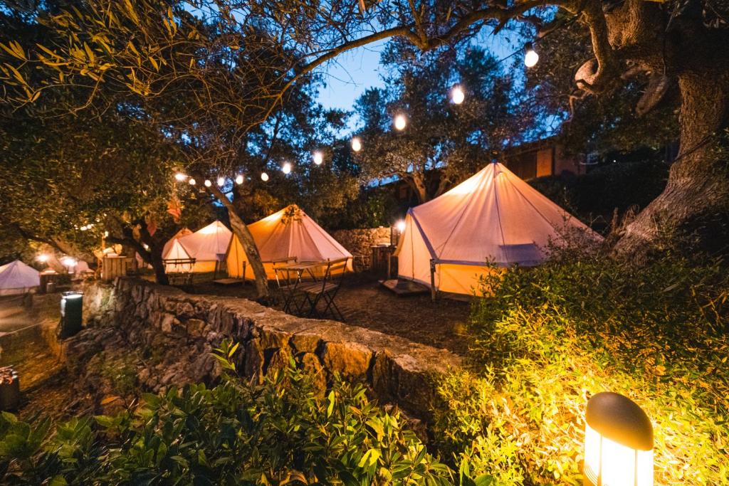 un gruppo di tende che si trovano sotto gli alberi di notte di Pigna Felice Talamone a Talamone