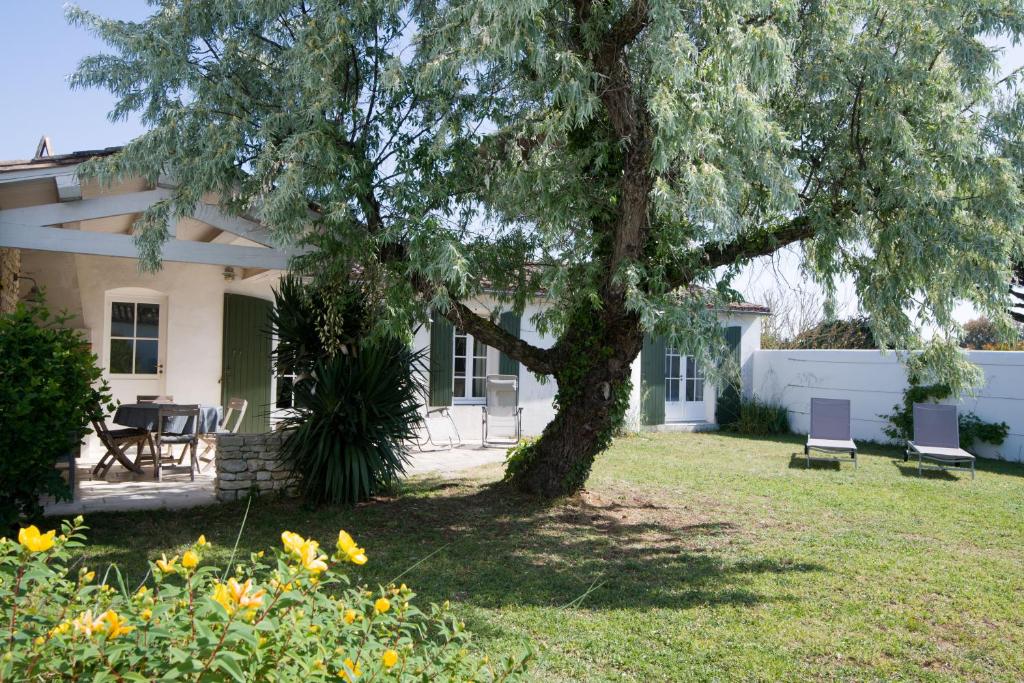 ein Haus mit einem Baum und Stühlen im Hof in der Unterkunft LATITUDE46 maison de charme à Sainte Marie de Ré in La Noue