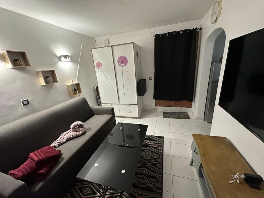 een woonkamer met een bank en een tv bij Studio purple proche Paris in Chennevières-sur-Marne