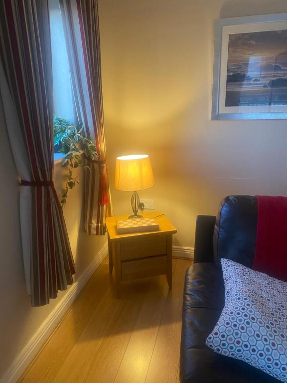 Posezení v ubytování Luxury Town House-Apartment Carrick-on-shannon