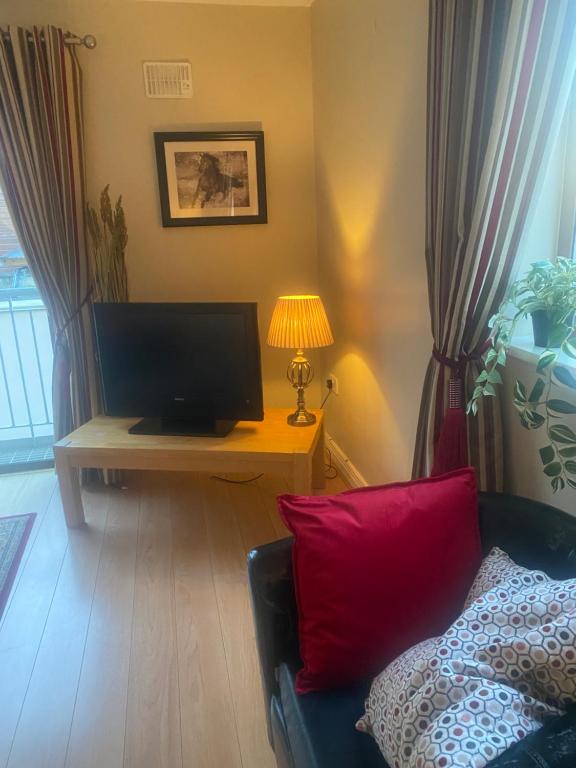TV a/nebo společenská místnost v ubytování Luxury Town House-Apartment Carrick-on-shannon