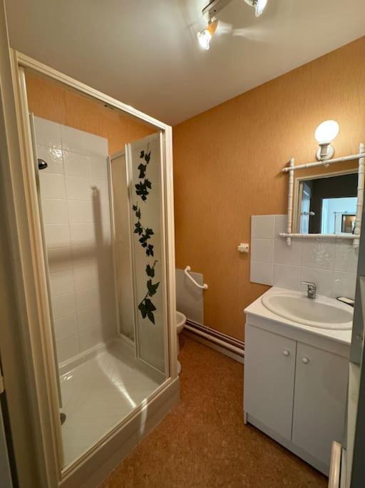 a bathroom with a shower and a sink at Appartement T3 bord de la Vienne in Chinon