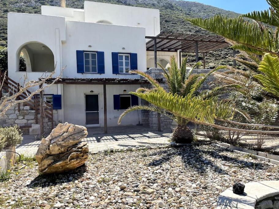 a house with a palm tree in front of it at Ariadne's apartment - Apollonas in Apollon