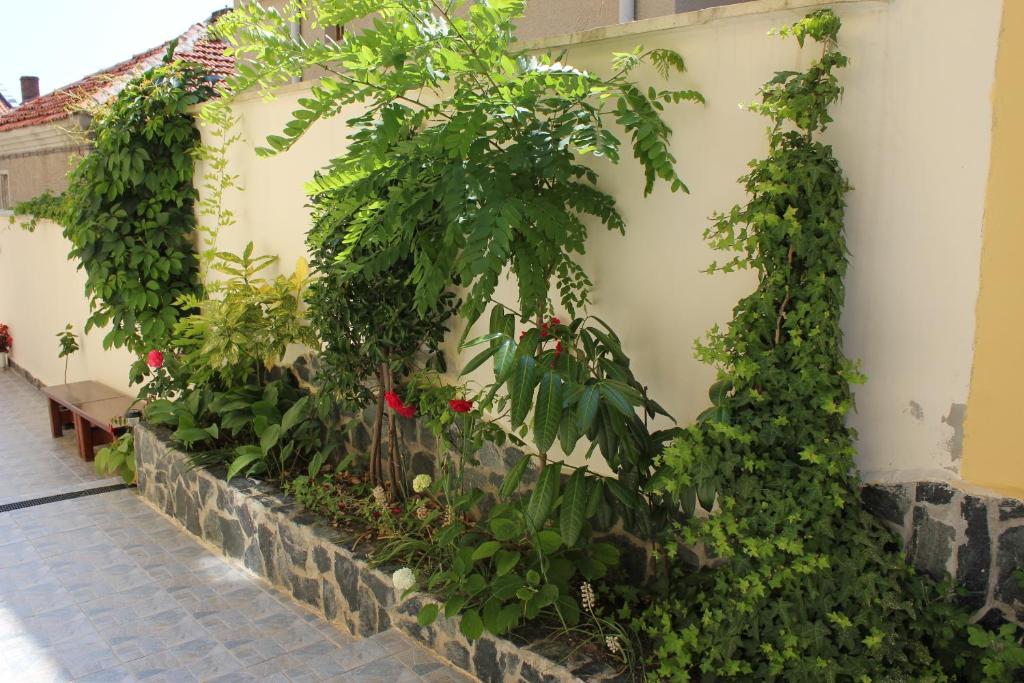 Zahrada ubytování Radik Guest Rooms