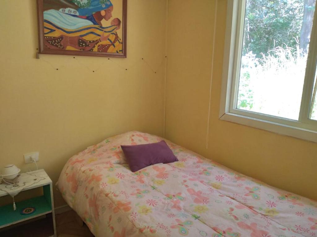 a bedroom with a bed with a purple pillow on it at Donde la Euli in Pitrufquén