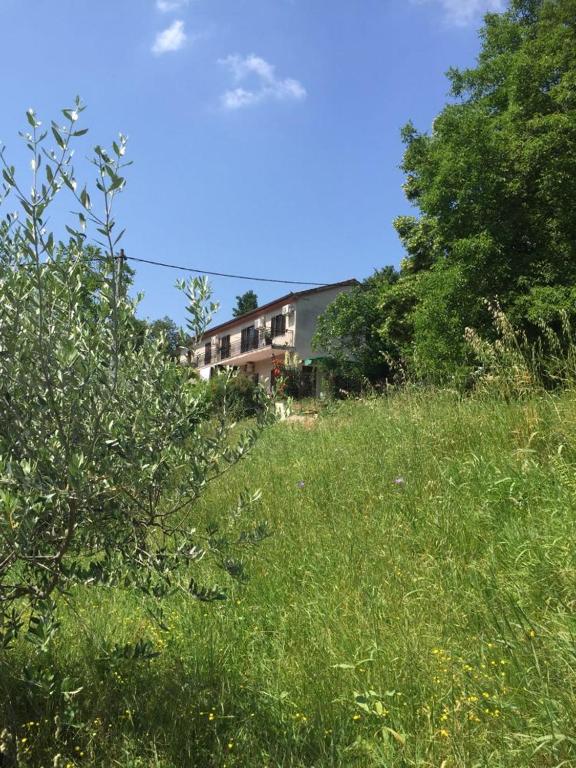 a house in the middle of a field of grass at Apartment Cimbora, Salara farmhouse in Koper