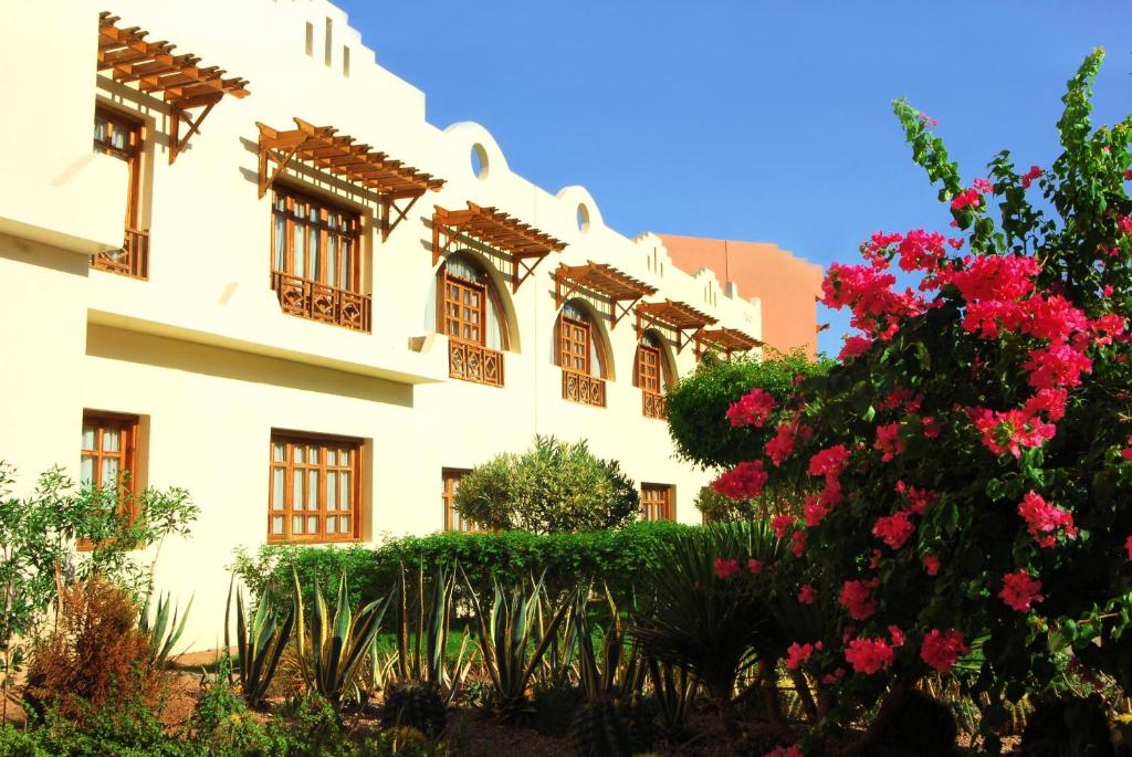 Zahrada ubytování Tropitel Dahab Oasis