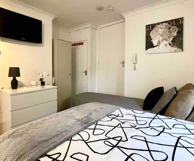 una camera con letto, cassettiera e TV di A beautiful studio flat with garden a Londra