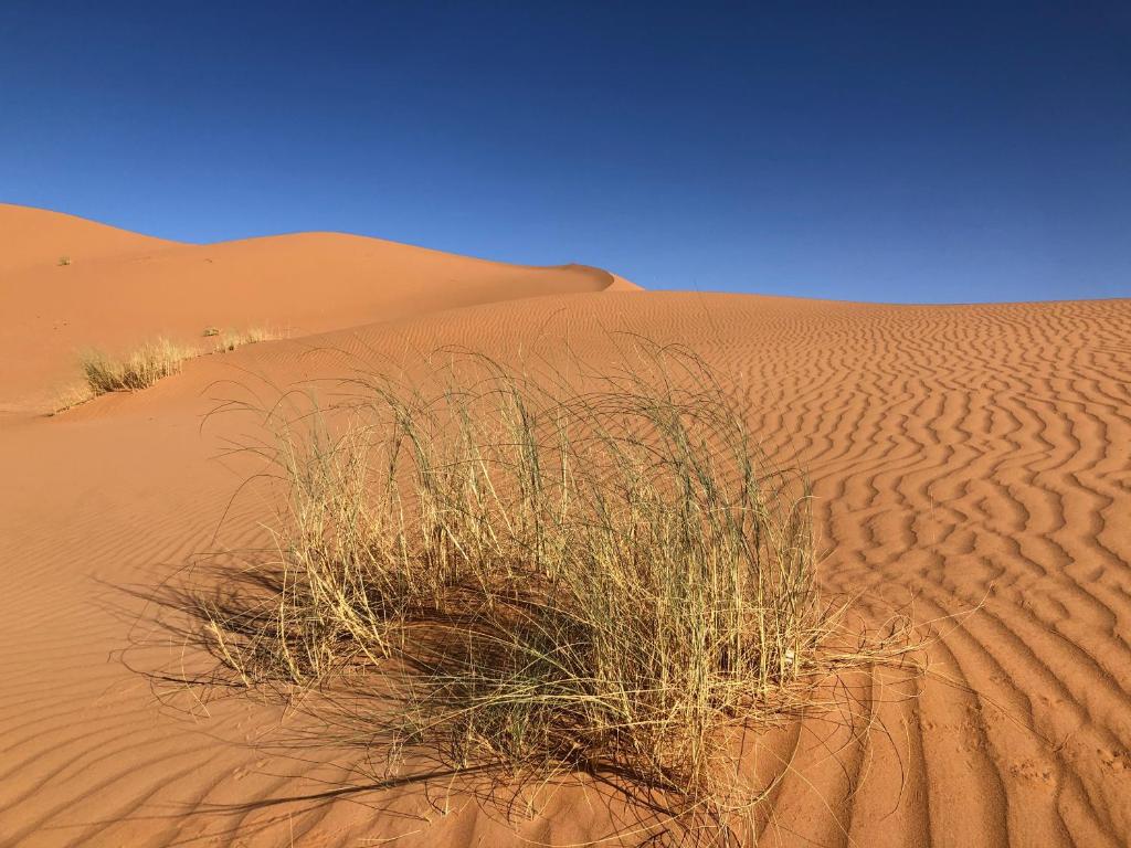 Paysage naturel près de la tente de luxe