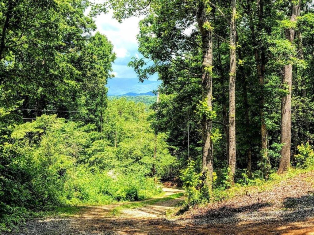 Smoky Mountain Views Cabins - Five-Bedroom Villa
