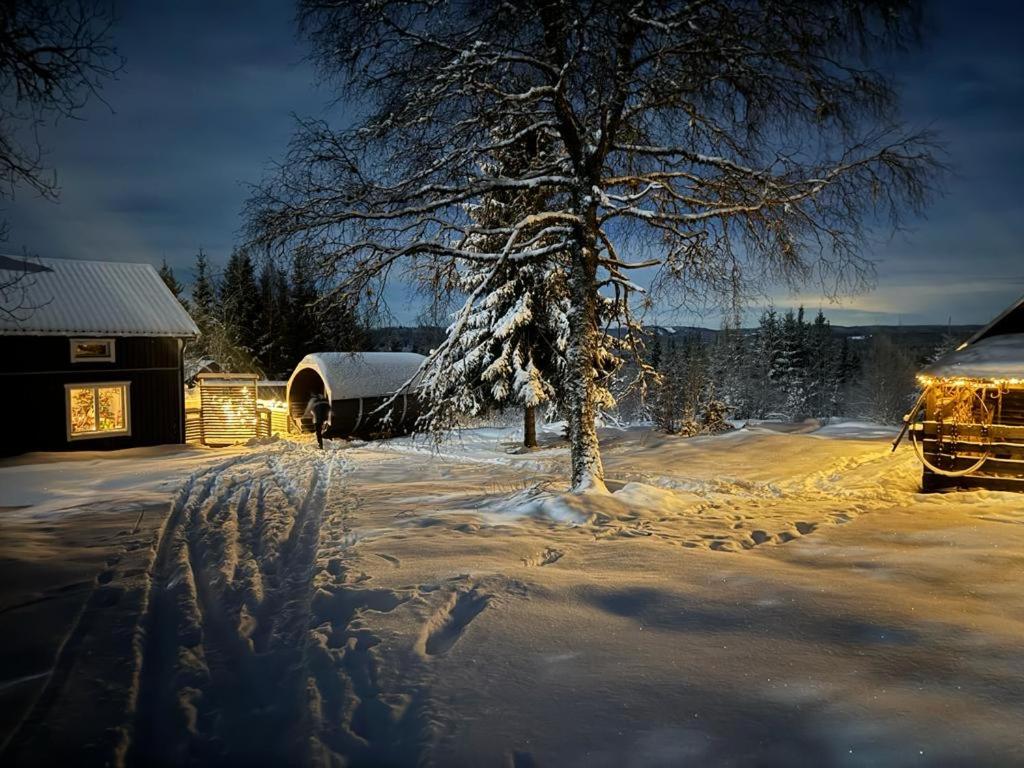 Forest cabin with stunning mountain view & Sauna v zimě