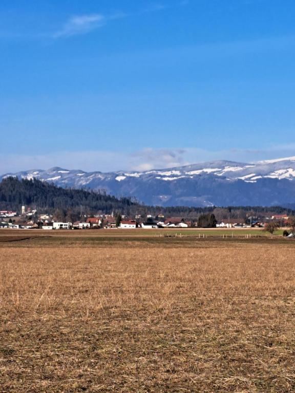 Příroda nedaleko apartmánu