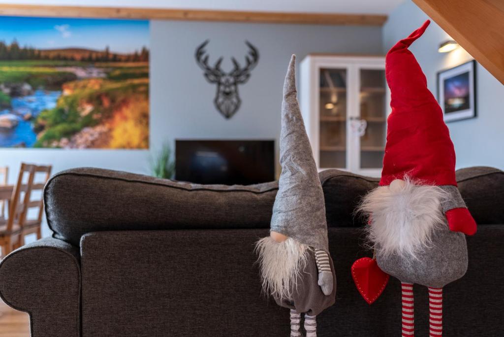 Televízia a/alebo spoločenská miestnosť v ubytovaní DOMEK SUDECKI ZAKĄTEK - 2 APARTAMENTY 7- os Z GORĄCĄ BALIĄ ZEWNĘTRZNĄ