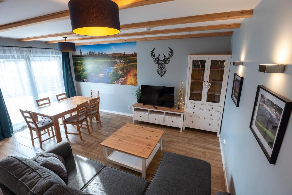 Televízia a/alebo spoločenská miestnosť v ubytovaní DOMEK SUDECKI ZAKĄTEK - 2 APARTAMENTY 7- os Z GORĄCĄ BALIĄ ZEWNĘTRZNĄ