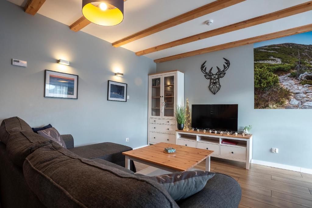 Televízia a/alebo spoločenská miestnosť v ubytovaní DOMEK SUDECKI ZAKĄTEK - 2 APARTAMENTY 7- os Z GORĄCĄ BALIĄ ZEWNĘTRZNĄ