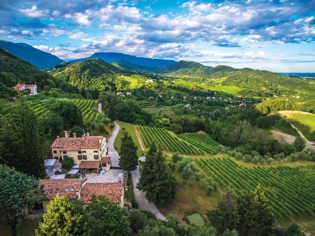 una vista aérea de una casa en un viñedo con montañas en Ville d'Arfanta, en Arfanta