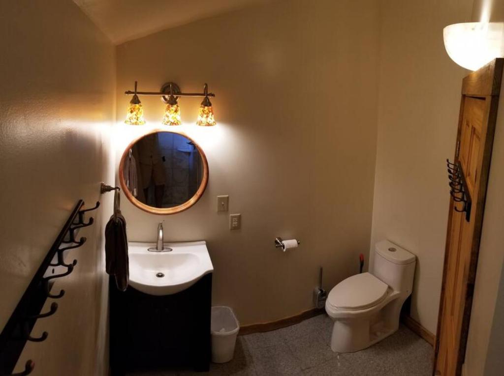 ein Badezimmer mit einem Waschbecken, einem WC und einem Spiegel in der Unterkunft Crows Nest in Stanardsville