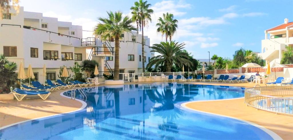a large swimming pool with blue chairs and palm trees at Agua Viva Beach in Callao Salvaje