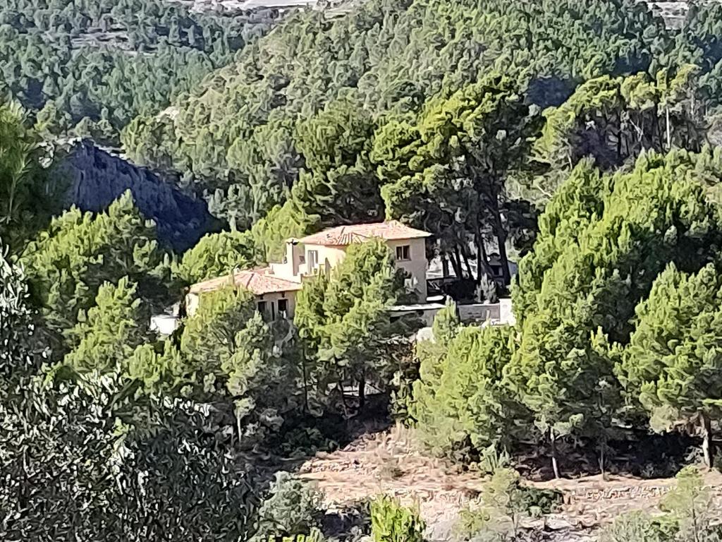 a house in the middle of a forest of trees at Finca Caracol in Bolulla
