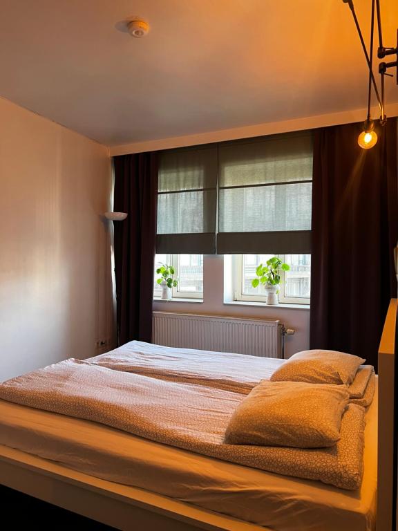 um quarto com uma cama grande e uma janela em Anna Flat em Gent