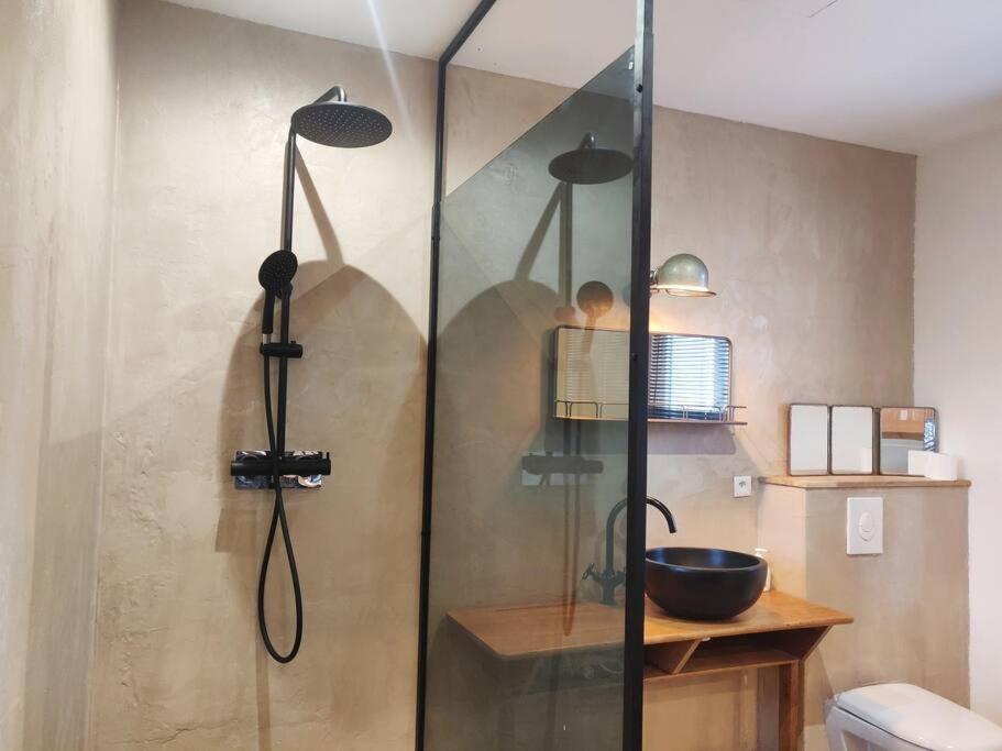 La salle de bains est pourvue d'une douche avec une porte en verre. dans l'établissement Adorable maisonnette proche Fontainebleau/Barbizon, à Chailly-en-Bière
