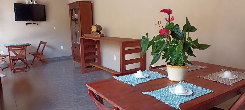 a table with a potted plant on top of it at Pousada Filhos da Canastra in Vargem Bonita