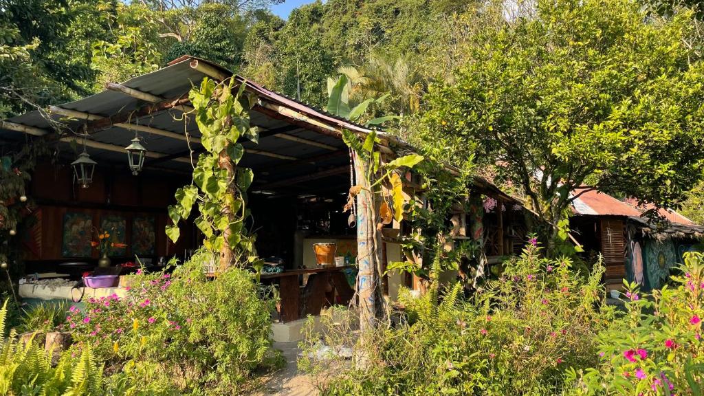 una casa con un montón de hiedra creciendo en ella en TROPICAL BIOHOSTEL, en Nocaima