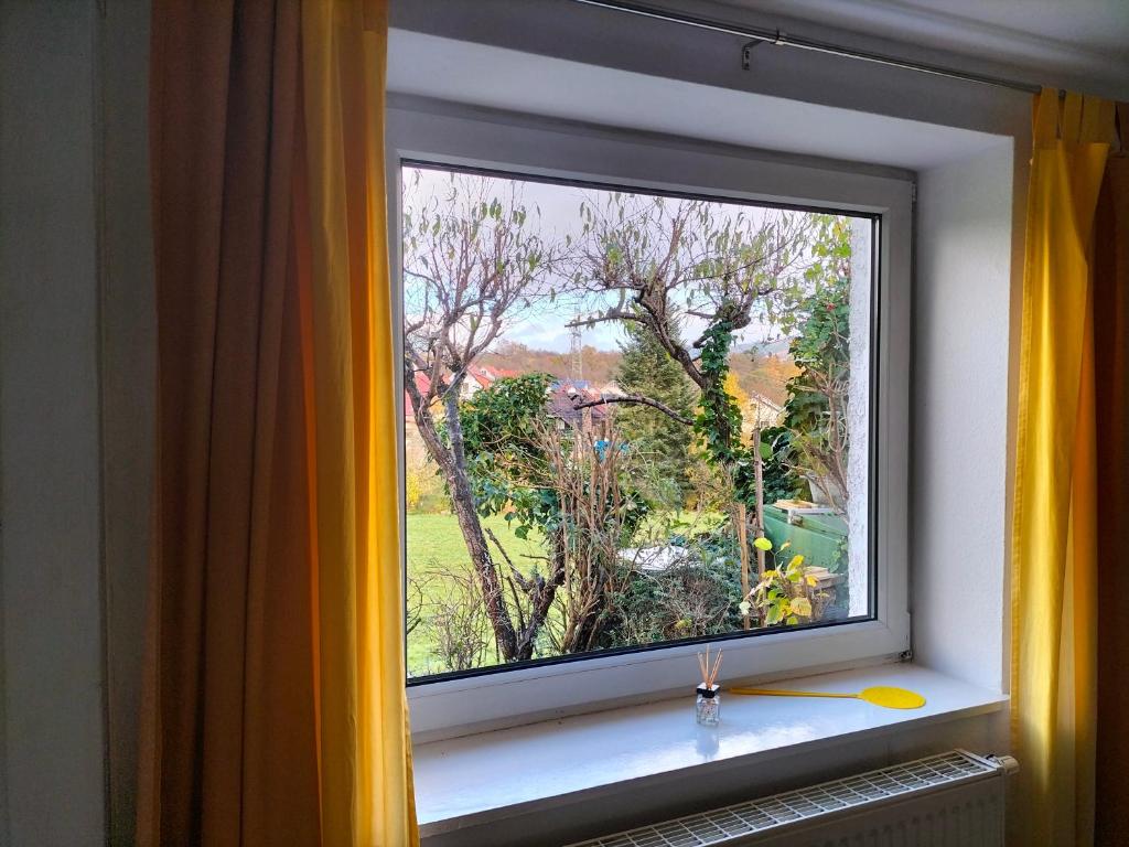 Fotografie z fotogalerie ubytování Pension Rosenblick v destinaci Mörlenbach