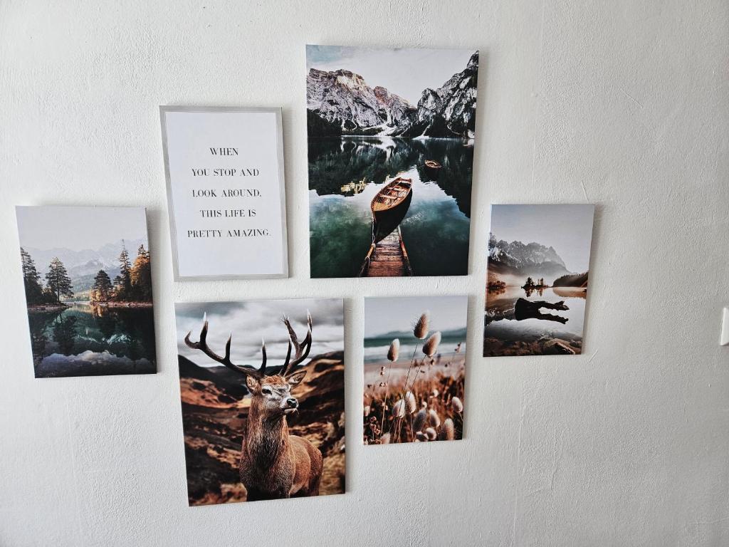 Fotografie z fotogalerie ubytování Bergkuss Brunnalm Veitsch v destinaci Veitsch
