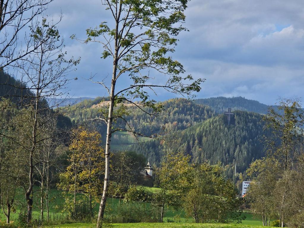 Příroda nedaleko apartmánu