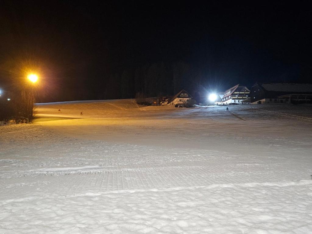 Bergkuss Brunnalm Veitsch v zimě