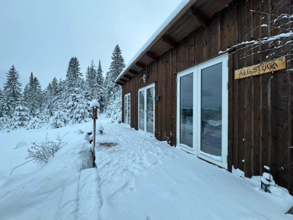 Cozy forest cabin with amazing mountain view v zimě
