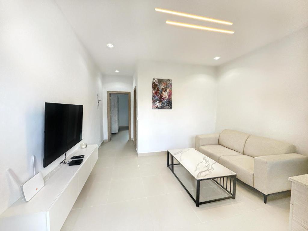 Appartement Palms Abidjan في أبيدجان: غرفة معيشة مع أريكة وتلفزيون بشاشة مسطحة