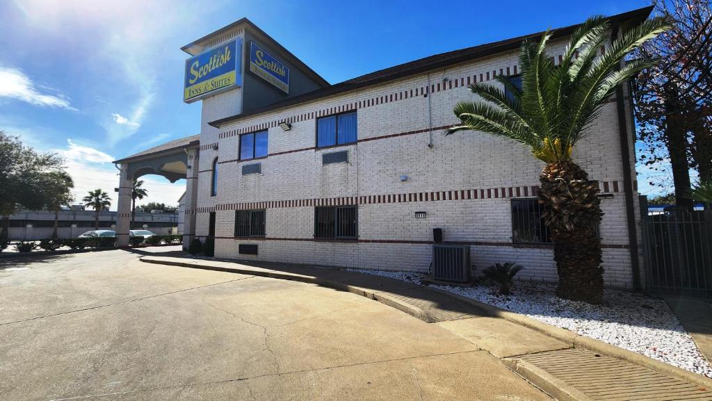 un edificio con una palmera delante en Scottish Inn & Suites Sam Houston Parkway, en Houston