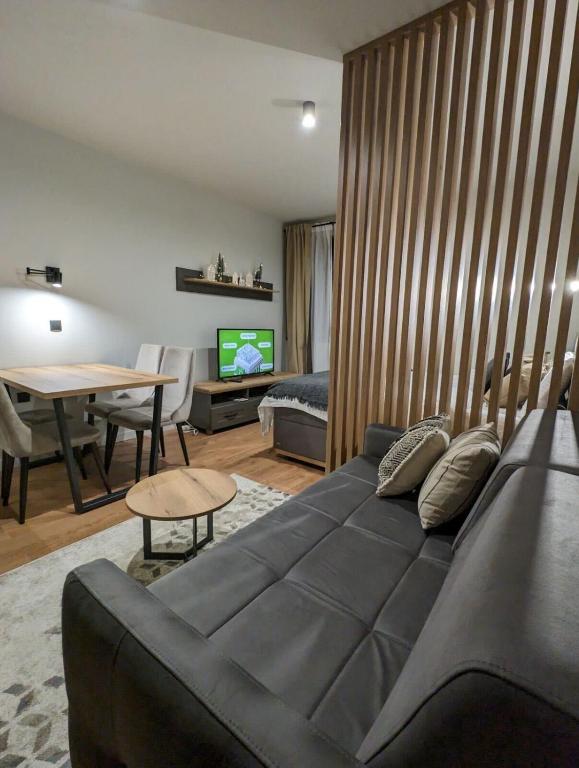 TV a/nebo společenská místnost v ubytování BratSki Apartman - 200m od gondole