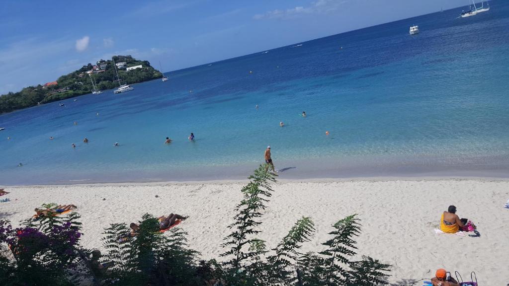 uma praia com pessoas nadando na água em JCM locations em Les Trois-Îlets