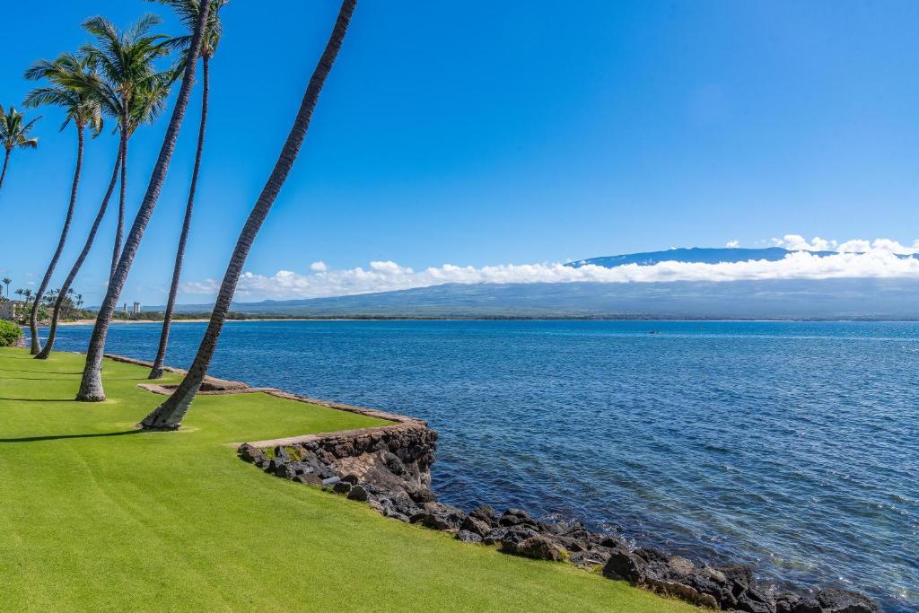 a group of palm trees next to the water at Lauloa 105 in Wailuku