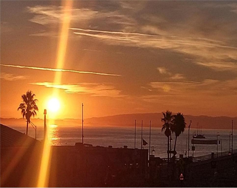 a sunset on the beach with palm trees and the ocean at Howard Johnson by Wyndham Santa Cruz Beach Boardwalk in Santa Cruz