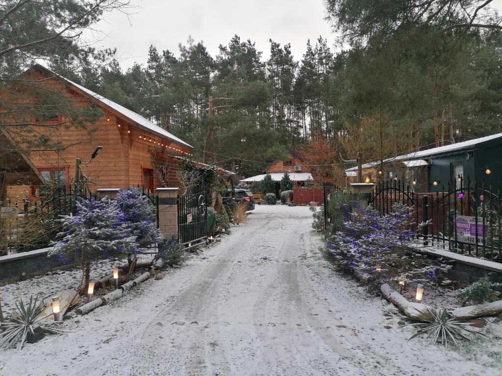 una calle cubierta de nieve con flores púrpuras y una casa en Domek Słoneczny Całoroczny 800m od Parku Wodnego Suntago Ranczo Gold Mania en Żyrardów