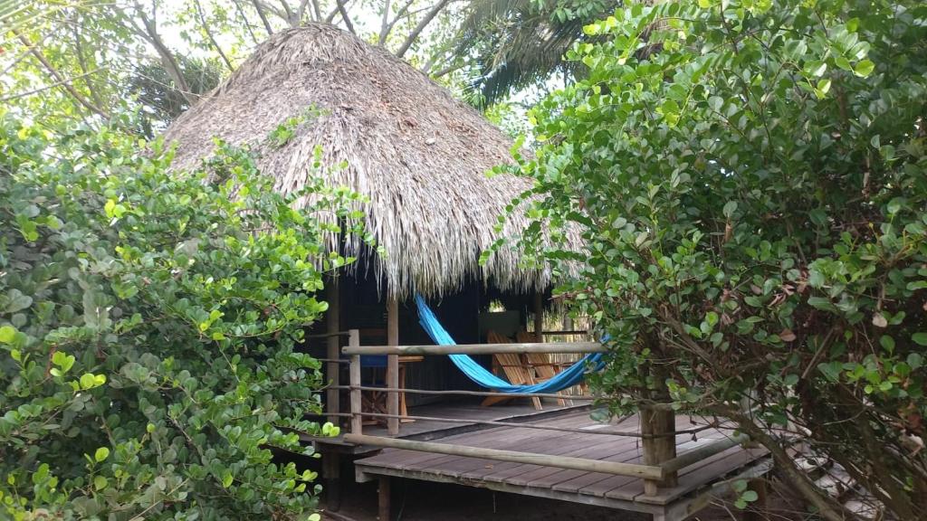 Aed väljaspool majutusasutust Playa Pikua Ecolodge