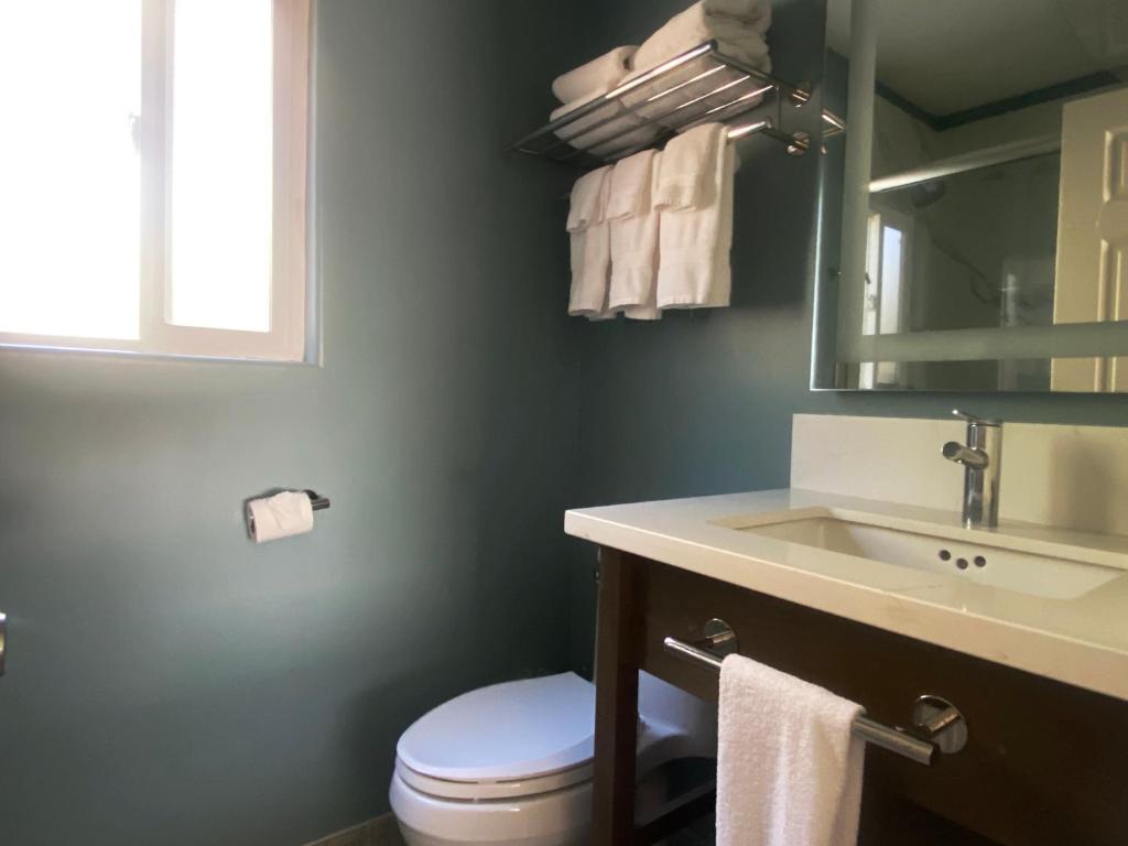 a bathroom with a white toilet and a sink at Castle Inn in Cambria