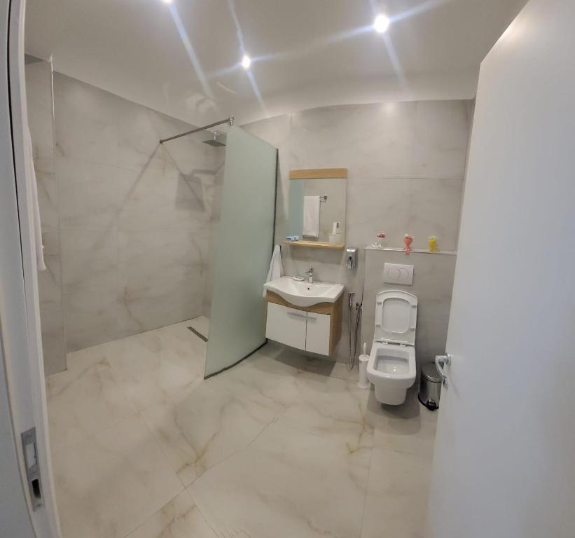 La salle de bains est pourvue de toilettes, d'un lavabo et d'une douche. dans l'établissement Vila Bakri Couple Room, à Elbasan