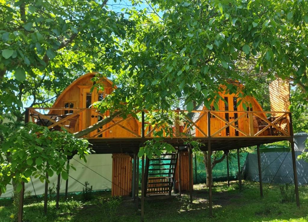 una casa en el árbol en medio de los árboles en Cabañas Peñaflor Glamping en Talagante