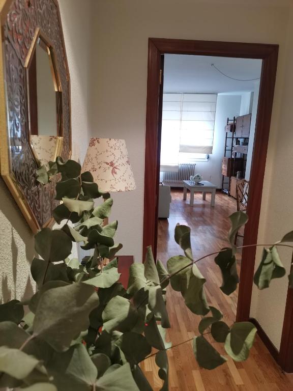 Fotografie z fotogalerie ubytování Apartamento Estriva v destinaci Ezcaray