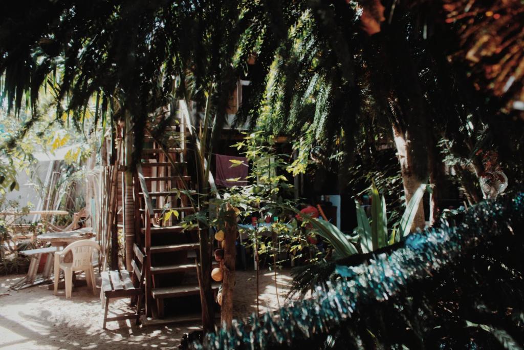 a garden with a bunch of plants and trees at Garden Cabins in Zipolite