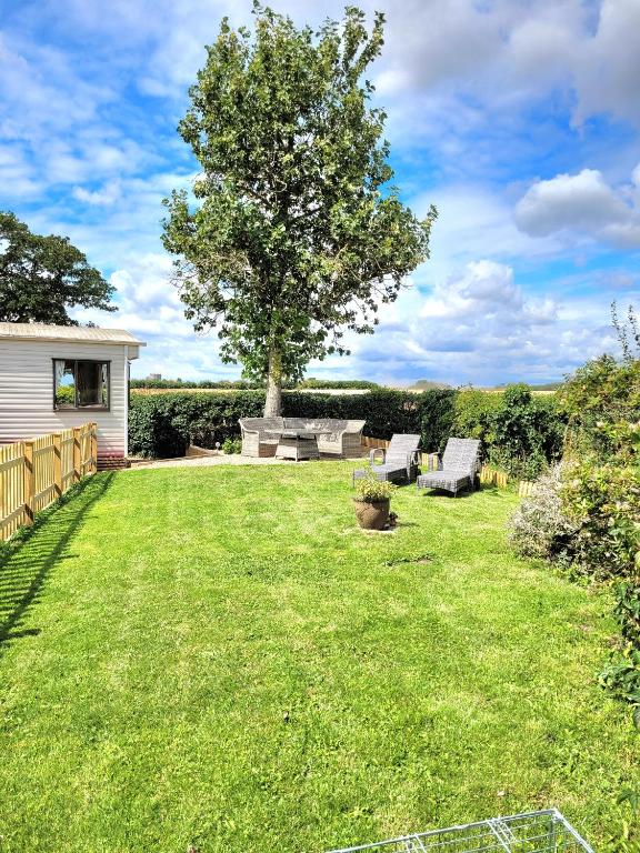 a yard with a tree and two couches on it at Badgers Rest Loddon in Norwich