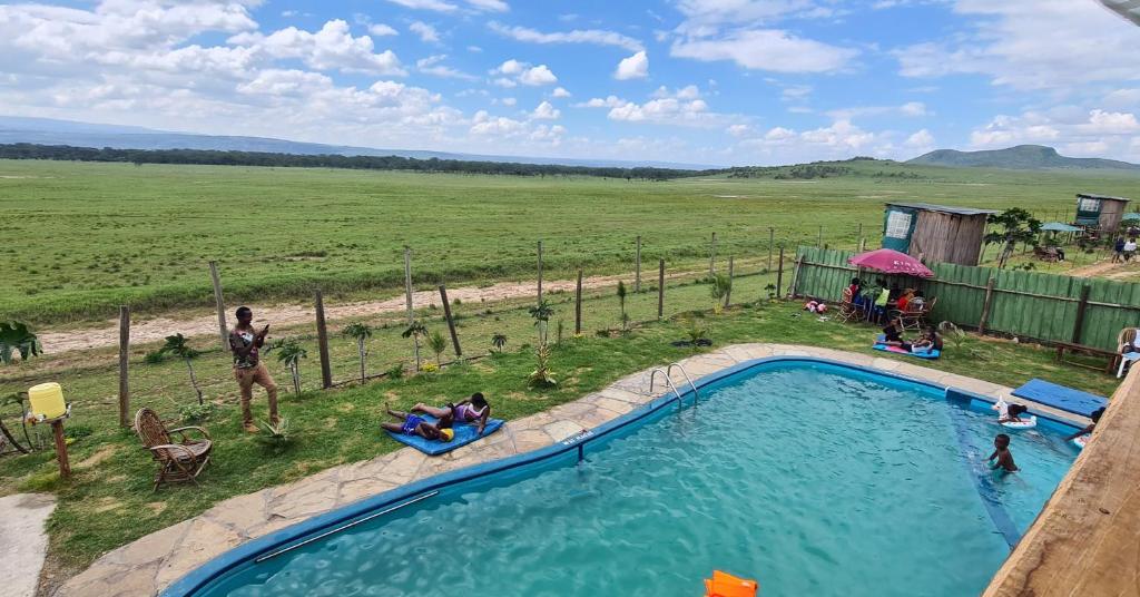 an overhead view of a swimming pool in a field at Mambo Game View in Elmenteita