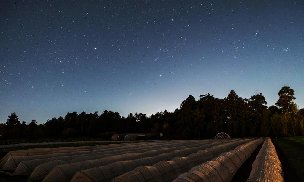 ein großes Feld mit einem Himmel voller Sterne in der Unterkunft THE FARM Resort Japan in Katori