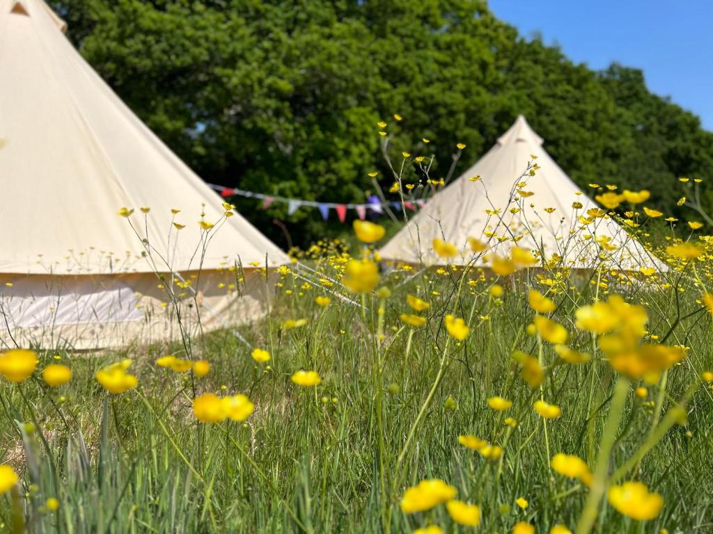 Deux tentes dans un champ d'herbe et de fleurs dans l'établissement Sussex Bell Tent, à Pulborough